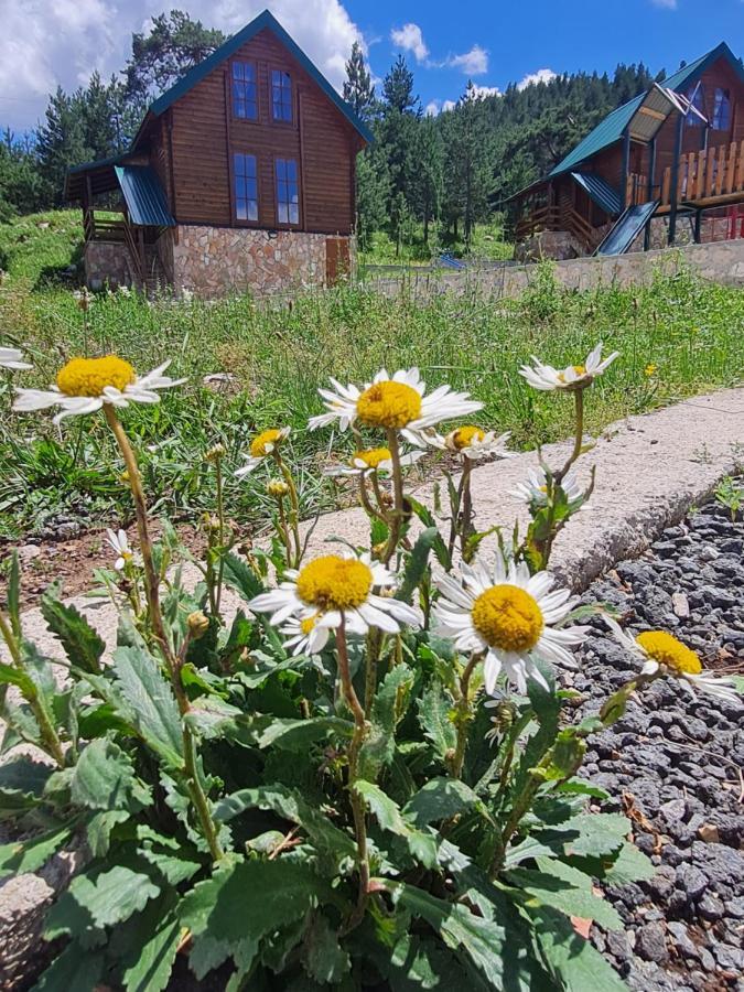 Willa Vikendice Itana Žabljak Zewnętrze zdjęcie